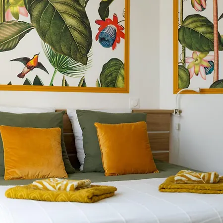 Tropical Dreams Arras