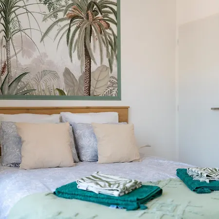 Tropical Dreams Arras