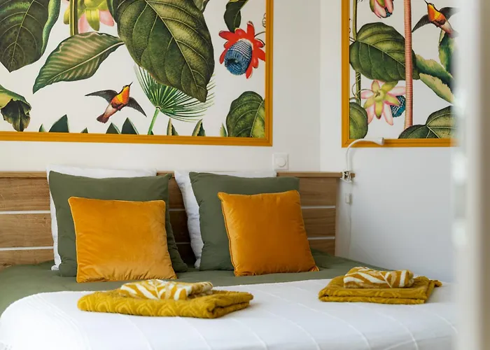 Tropical Dreams Arras